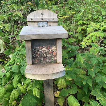 Red Squirrel Pod With Hot Tub Villa Oban Exterior photo